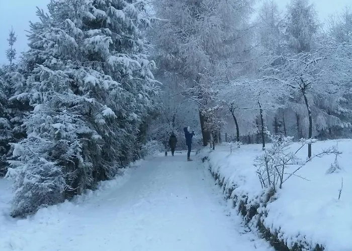 Michalka 1 - Pod Leskowcem شقة Targoszow