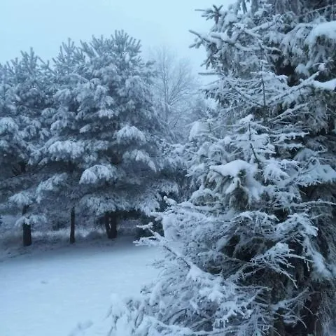 Michalka 1 - Pod Leskowcem *